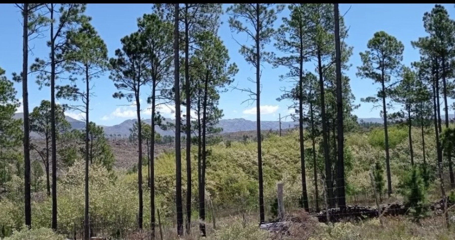 FRACCION DE CAMPO DE 10 HAS EN DESARROLLO CON ACCESO A 3 KM DE COSTA DE RIO POSTALES UNICAS