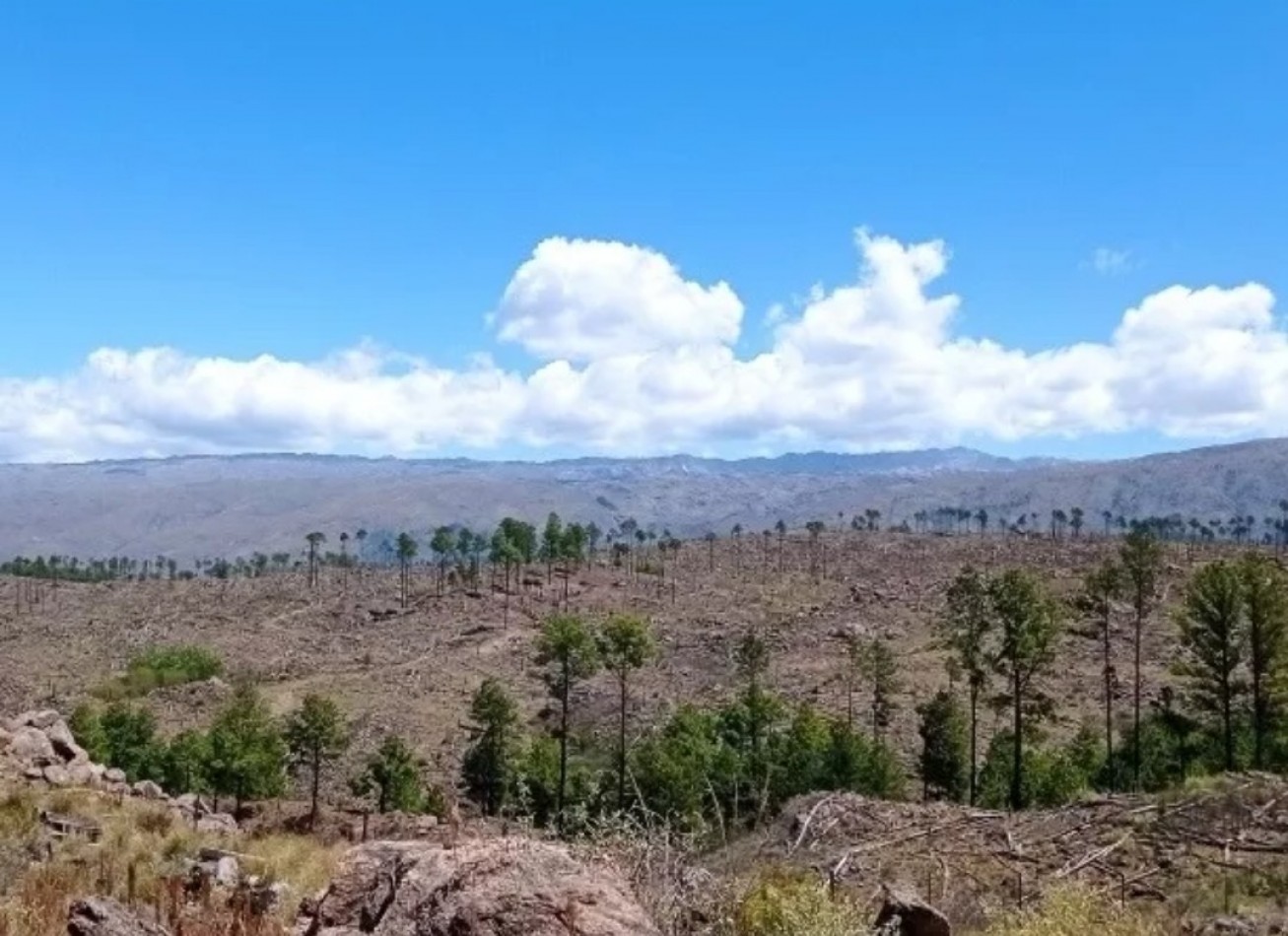 FRACCION DE CAMPO DE 10 HAS EN DESARROLLO CON ACCESO A 3 KM DE COSTA DE RIO POSTALES UNICAS