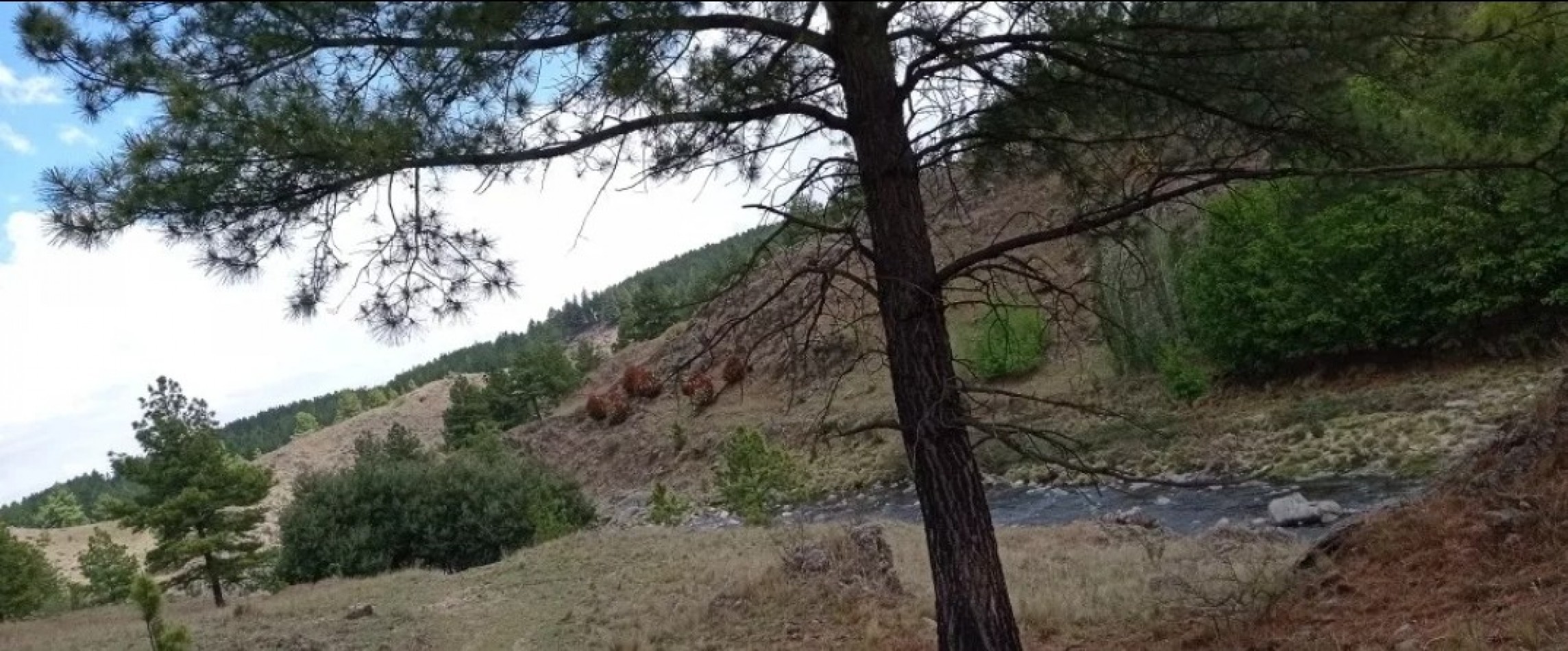 FRACCION DE CAMPO DE 10 HAS EN DESARROLLO CON ACCESO A 3 KM DE COSTA DE RIO POSTALES UNICAS