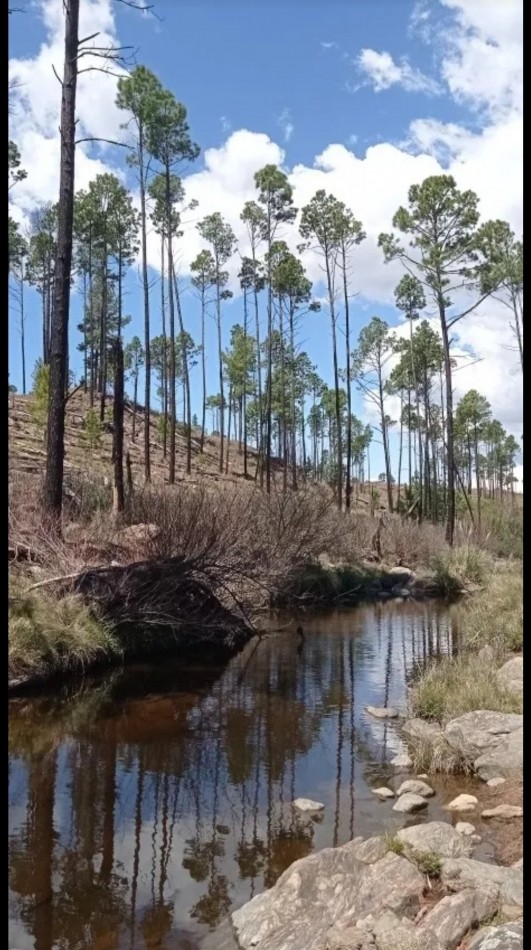 FRACCION DE CAMPO DE 10 HAS EN DESARROLLO CON ACCESO A 3 KM DE COSTA DE RIO POSTALES UNICAS
