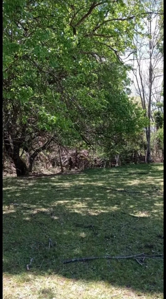 FRACCION DE CAMPO DE 10 HAS EN DESARROLLO CON ACCESO A 3 KM DE COSTA DE RIO POSTALES UNICAS