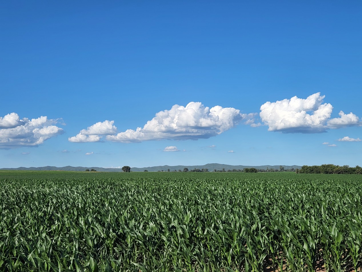 VENTA CAMPO PRODUCTIVO VALLE DE CALAMUCHITA PROVINCIA DE CORDOBA
