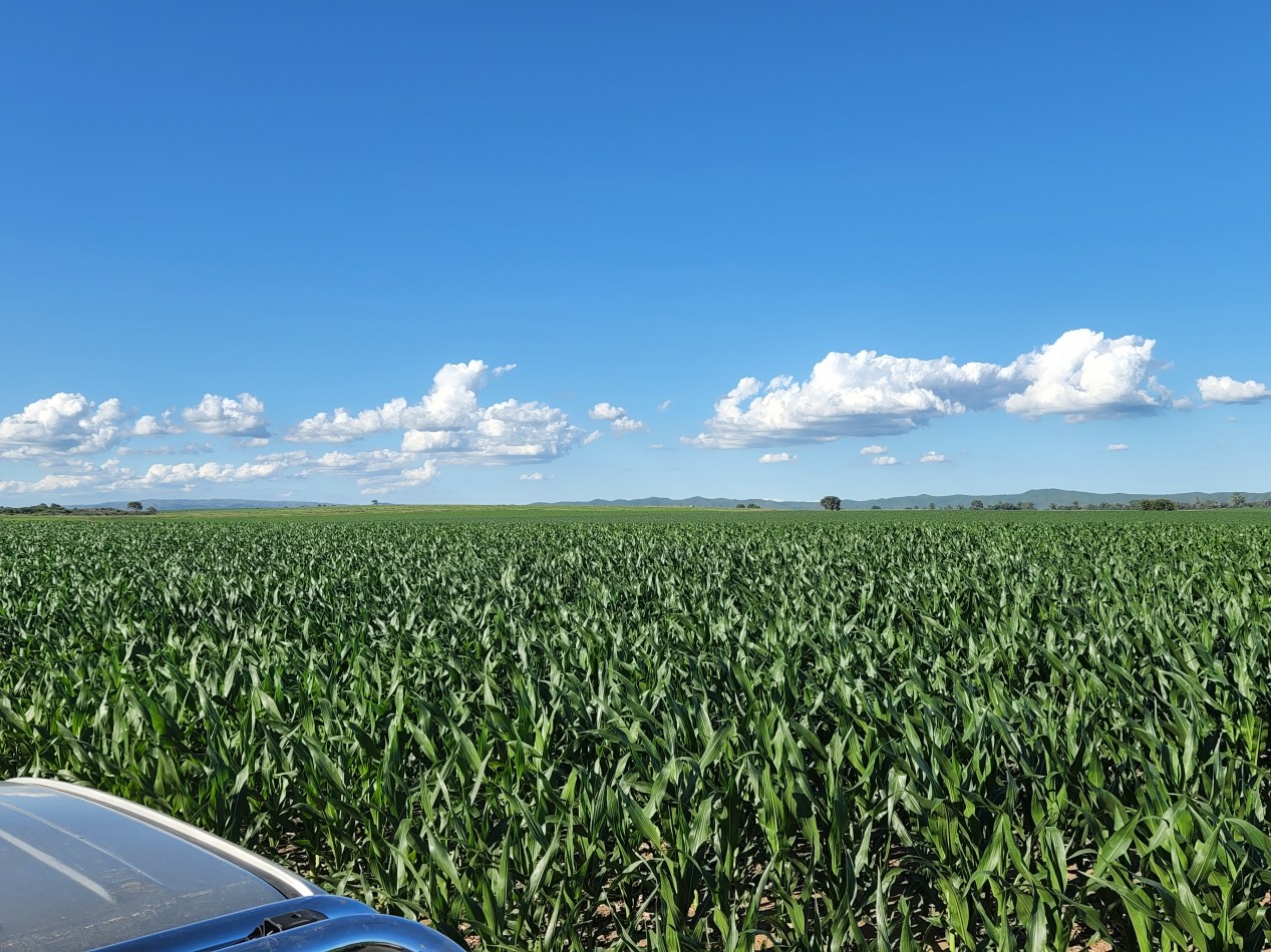 VENTA CAMPO PRODUCTIVO VALLE DE CALAMUCHITA PROVINCIA DE CORDOBA