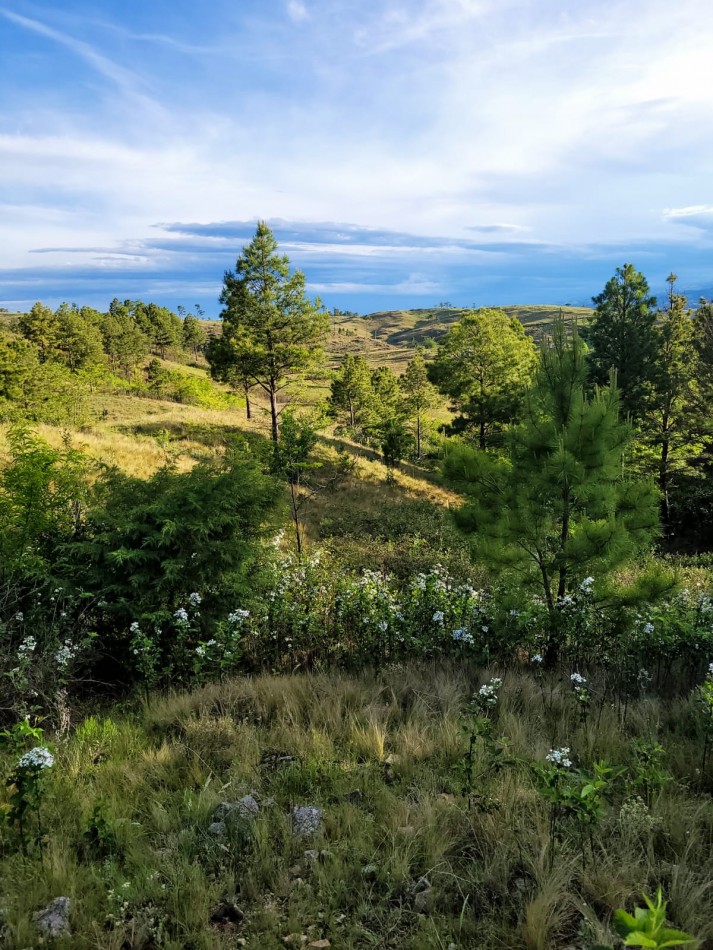 Excepcional loteo privado en sierra
