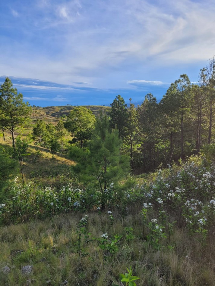 Excepcional loteo privado en sierra