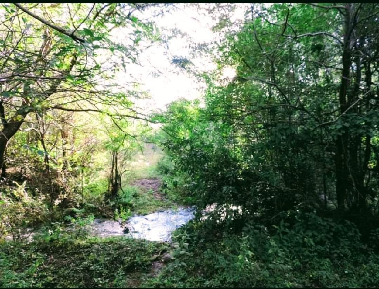 LOTE ESQUINA DE 1400M2 MAS GALPON PROXIMO A RUTA 5 VISTA A SIERRAS ACEPTA PERMUTA