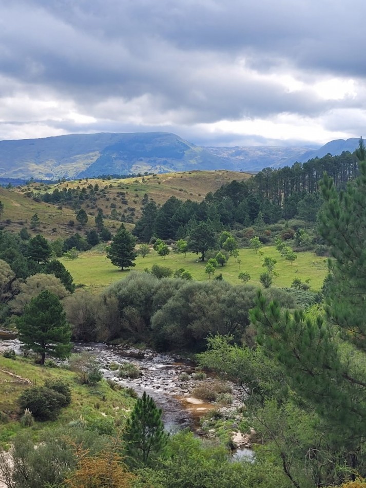 VENTA CAMPO COSTA A RIO SOBRE RUTA ENERGIA ELECTRICA VEGETACION Y VISTAS PANORAMICAS INTIYACO