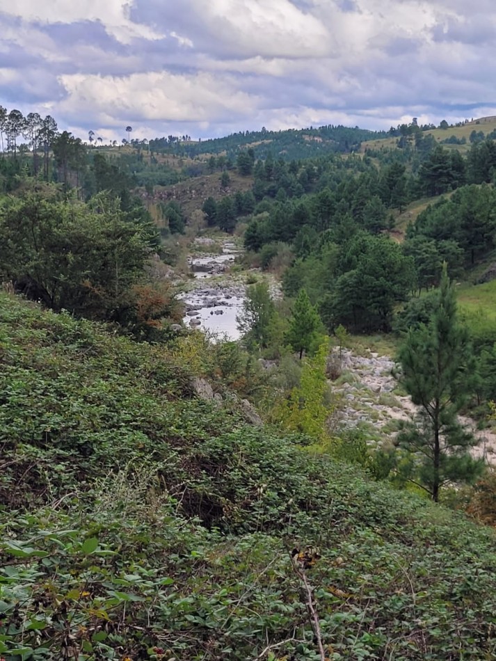 VENTA CAMPO COSTA A RIO SOBRE RUTA ENERGIA ELECTRICA VEGETACION Y VISTAS PANORAMICAS INTIYACO