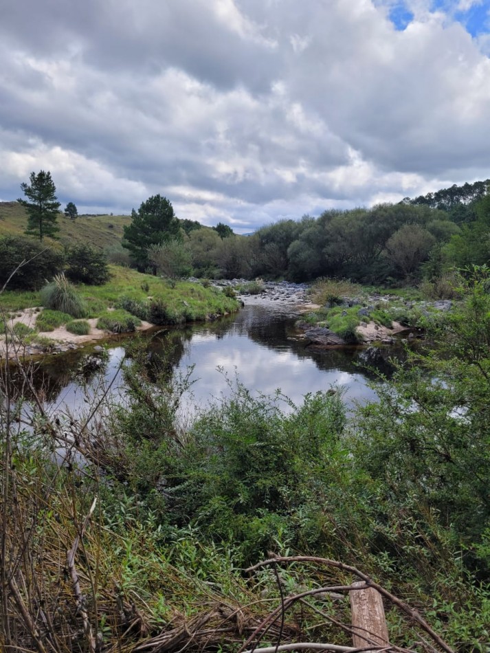 VENTA CAMPO COSTA A RIO SOBRE RUTA ENERGIA ELECTRICA VEGETACION Y VISTAS PANORAMICAS INTIYACO