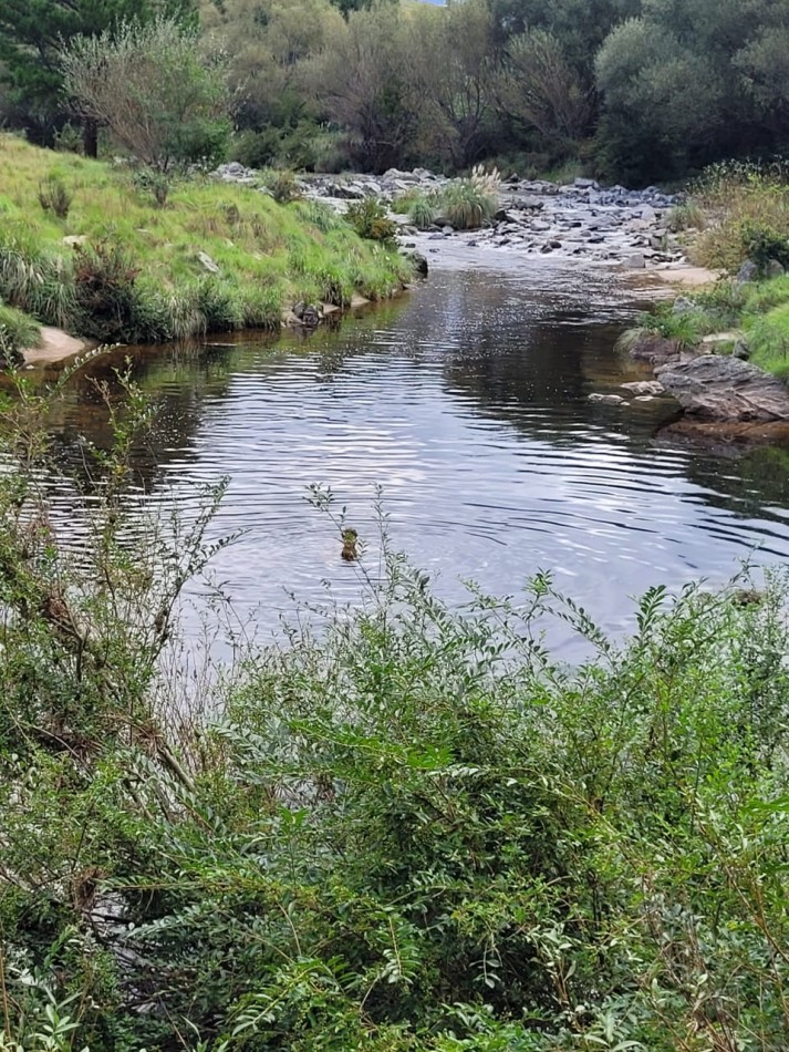 VENTA CAMPO COSTA A RIO SOBRE RUTA ENERGIA ELECTRICA VEGETACION Y VISTAS PANORAMICAS INTIYACO