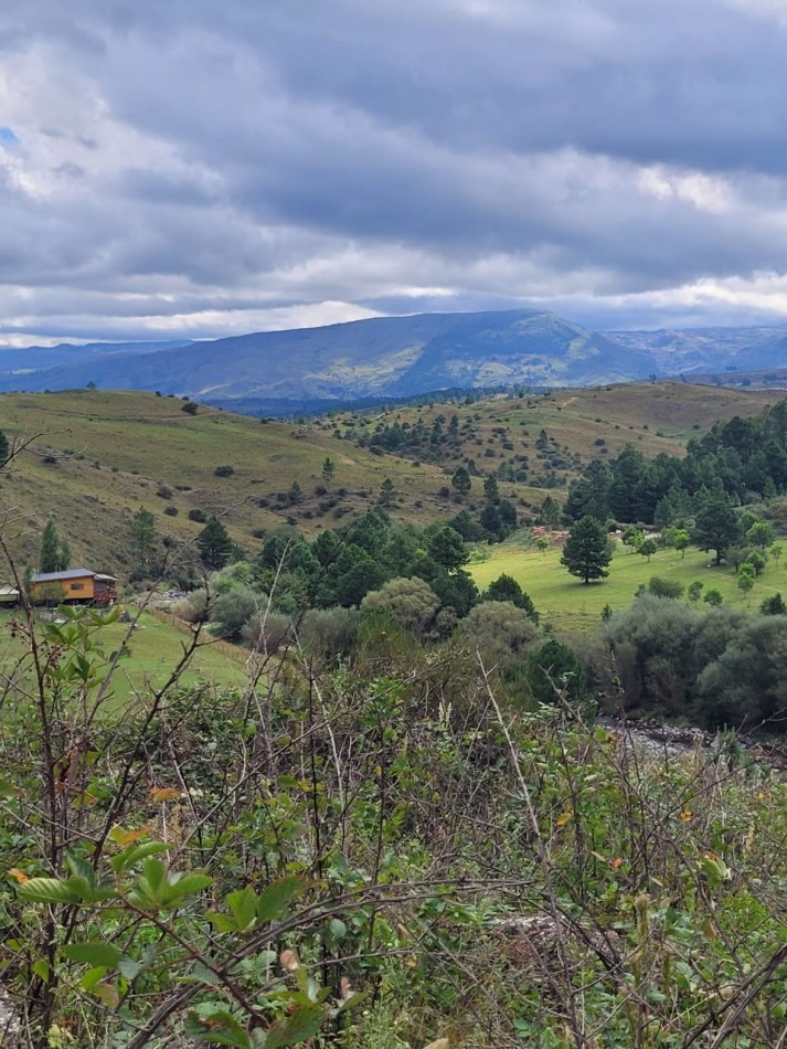 VENTA CAMPO COSTA A RIO SOBRE RUTA ENERGIA ELECTRICA VEGETACION Y VISTAS PANORAMICAS INTIYACO