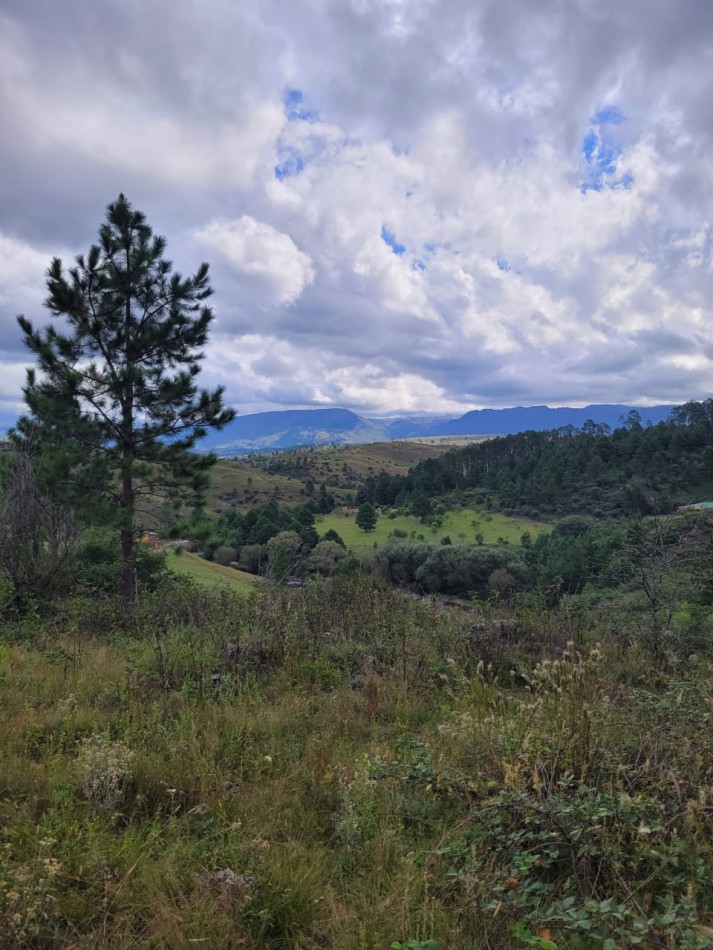 VENTA CAMPO COSTA A RIO SOBRE RUTA ENERGIA ELECTRICA VEGETACION Y VISTAS PANORAMICAS INTIYACO