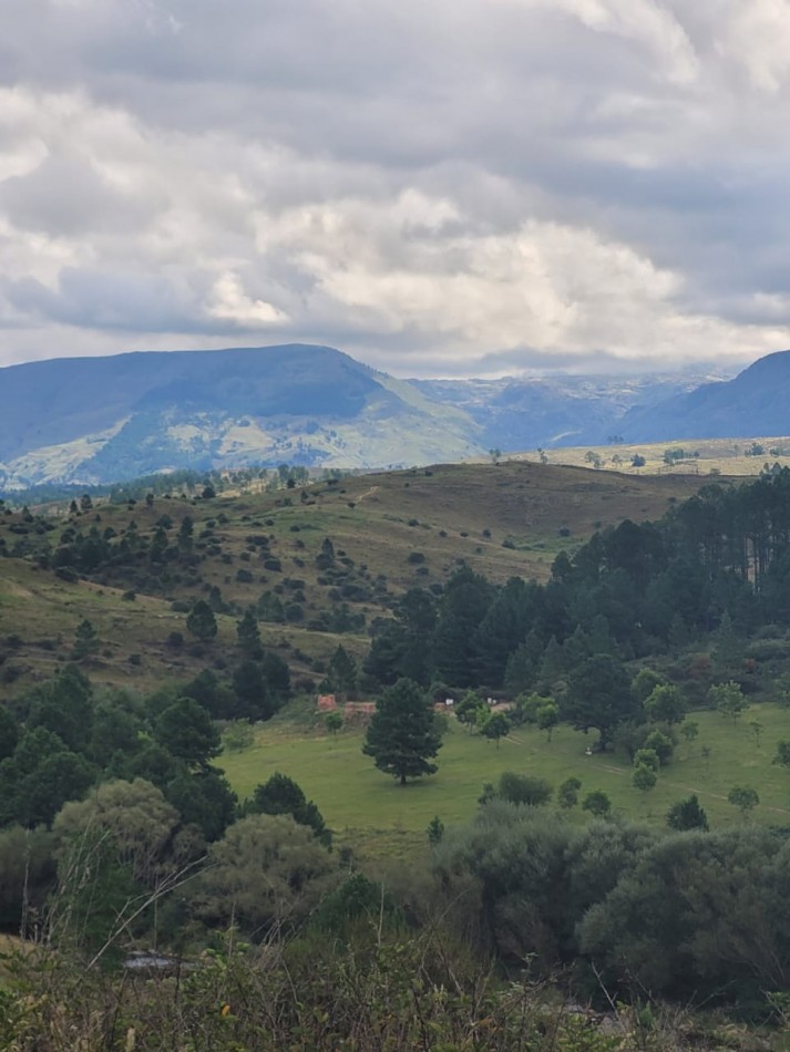 VENTA CAMPO COSTA A RIO SOBRE RUTA ENERGIA ELECTRICA VEGETACION Y VISTAS PANORAMICAS INTIYACO