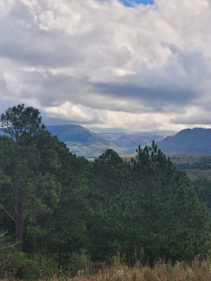 VENTA CAMPO COSTA A RIO SOBRE RUTA ENERGIA ELECTRICA VEGETACION Y VISTAS PANORAMICAS INTIYACO