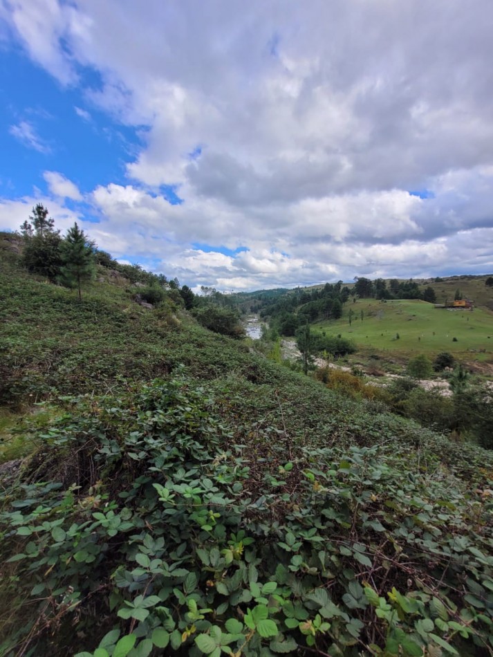 VENTA CAMPO COSTA A RIO SOBRE RUTA ENERGIA ELECTRICA VEGETACION Y VISTAS PANORAMICAS INTIYACO