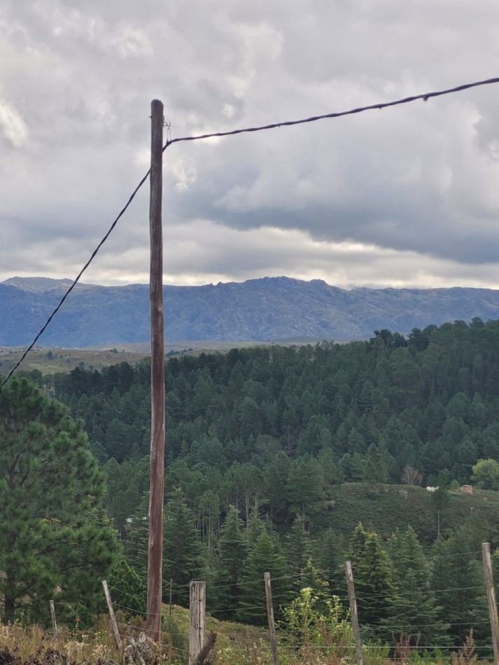 VENTA CAMPO COSTA A RIO SOBRE RUTA ENERGIA ELECTRICA VEGETACION Y VISTAS PANORAMICAS INTIYACO
