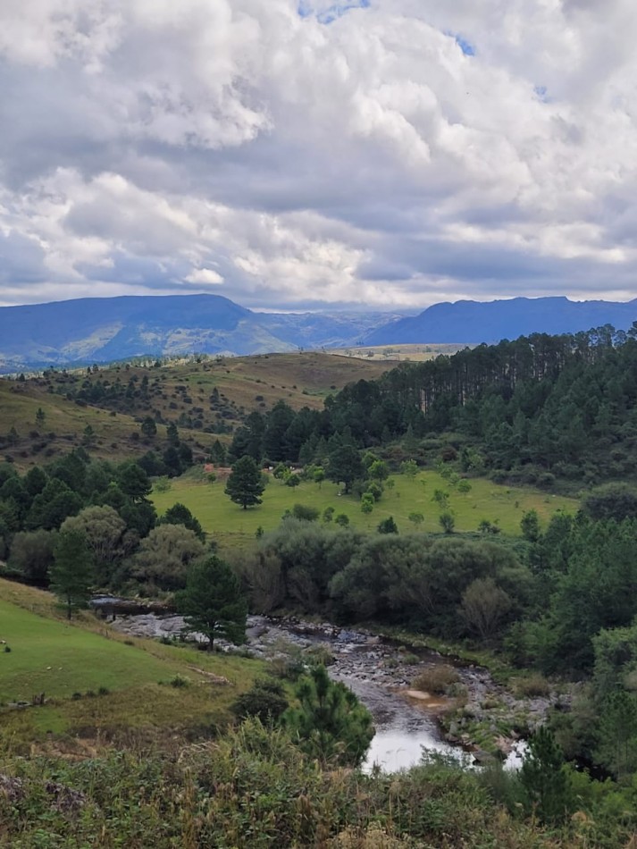 VENTA CAMPO COSTA A RIO SOBRE RUTA ENERGIA ELECTRICA VEGETACION Y VISTAS PANORAMICAS INTIYACO