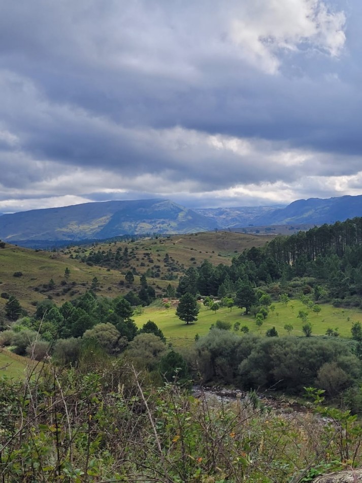 VENTA CAMPO COSTA A RIO SOBRE RUTA ENERGIA ELECTRICA VEGETACION Y VISTAS PANORAMICAS INTIYACO