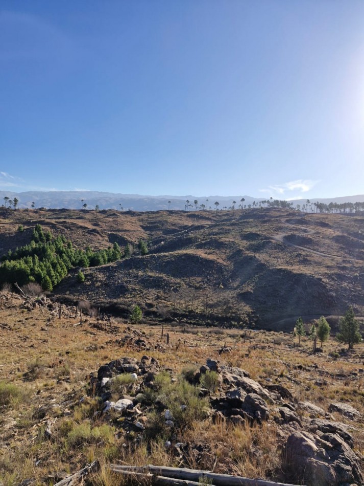 Venta campo costa a Rio Athos Pampa