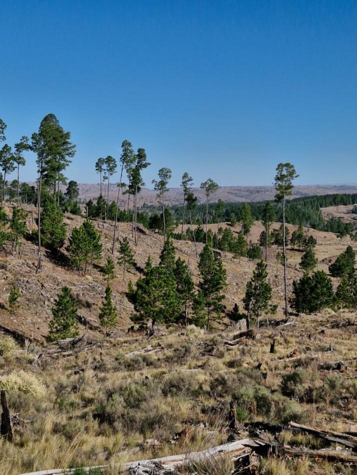 Venta campo costa a Rio Athos Pampa