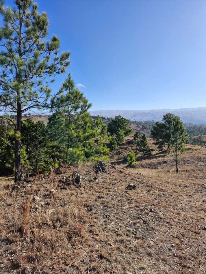 Venta Fraccion 15 Hectareas arroyo Athos Pampa