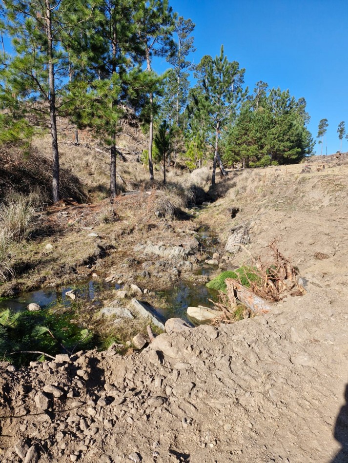 Venta Fraccion 15 Hectareas arroyo Athos Pampa