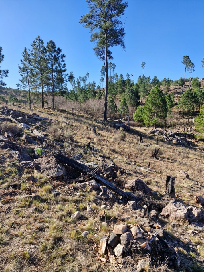 Venta Fraccion 15 Hectareas arroyo Athos Pampa