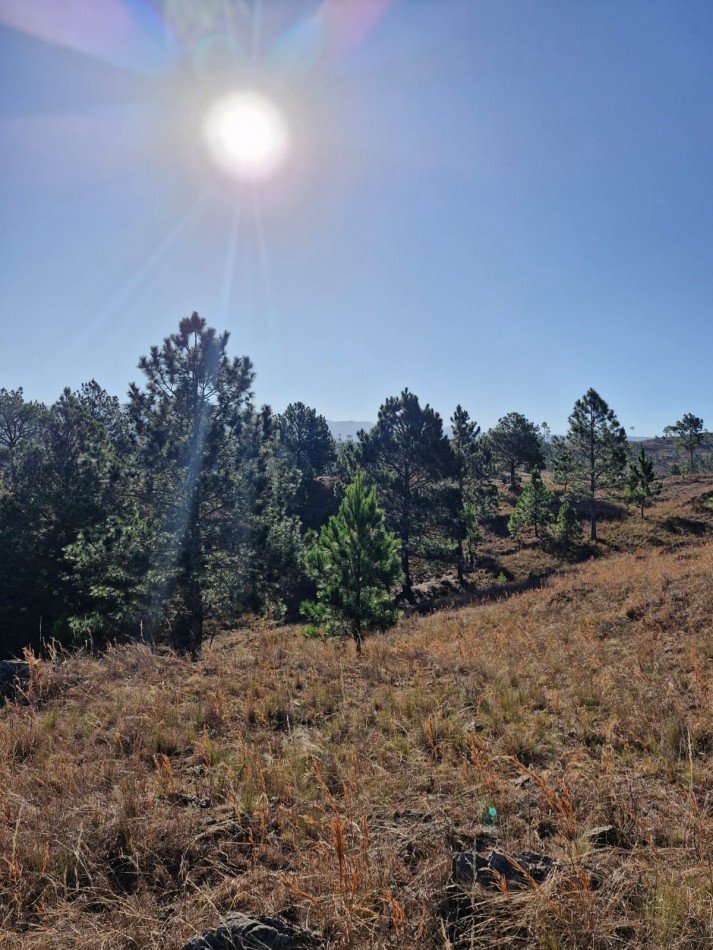 Venta Fraccion 15 Hectareas arroyo Athos Pampa