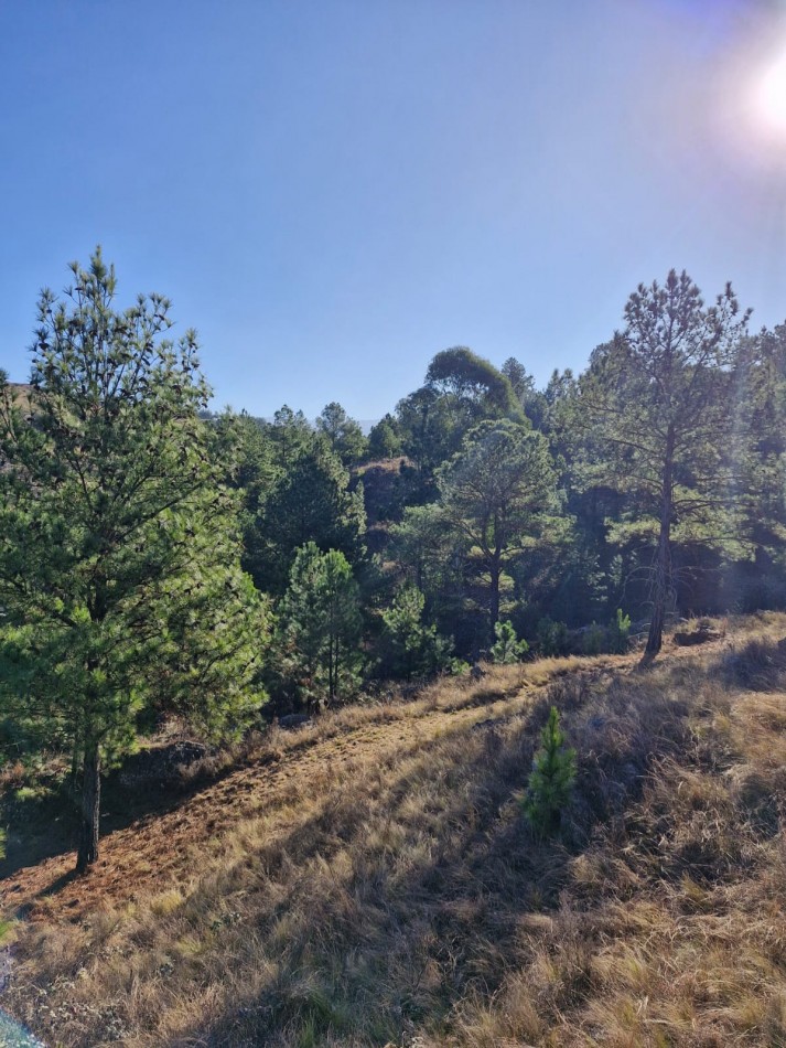 Venta Fraccion 15 Hectareas arroyo Athos Pampa