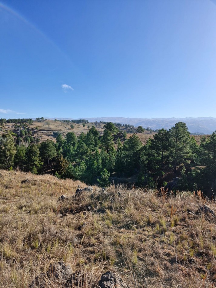 Venta Fraccion 15 Hectareas arroyo Athos Pampa