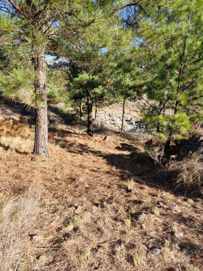 Venta Fraccion 15 Hectareas arroyo Athos Pampa