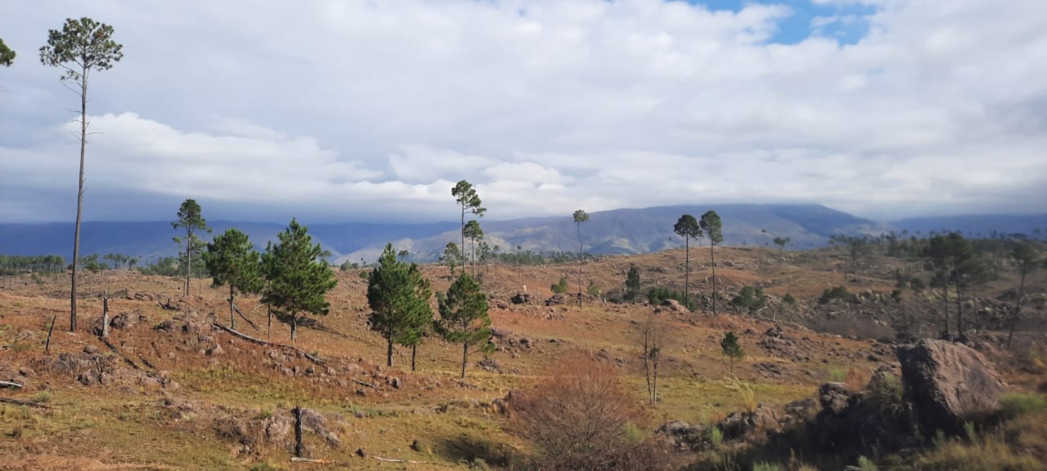 FRACCION DE CAMPO DE 10.9 HAS EN DESARROLLO CON ACCESO A 3 KM DE COSTA DE RIO POSTALES UNICAS