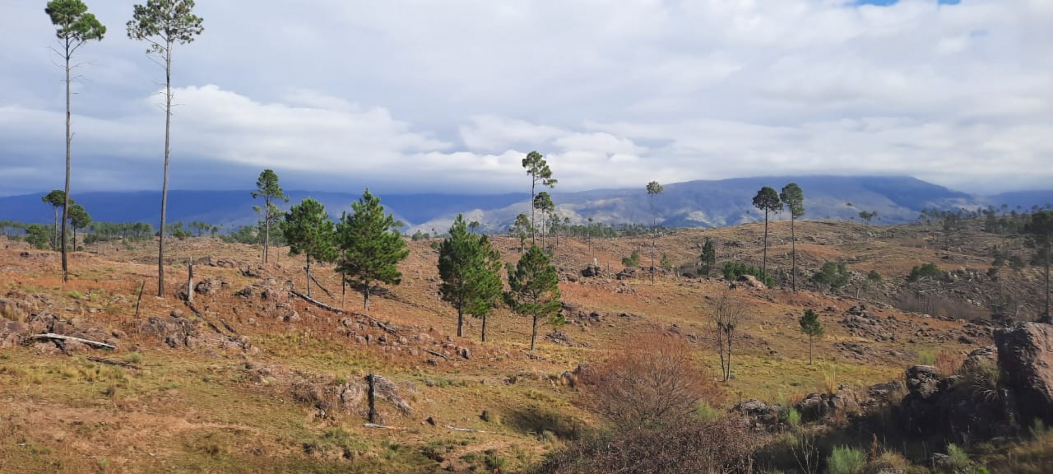 FRACCION DE CAMPO DE 10.9 HAS EN DESARROLLO CON ACCESO A 3 KM DE COSTA DE RIO POSTALES UNICAS