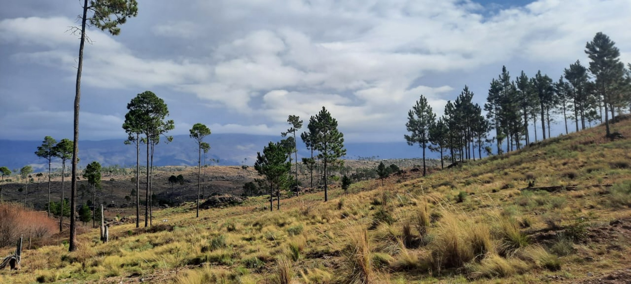 FRACCION DE CAMPO DE 10.9 HAS EN DESARROLLO CON ACCESO A 3 KM DE COSTA DE RIO POSTALES UNICAS