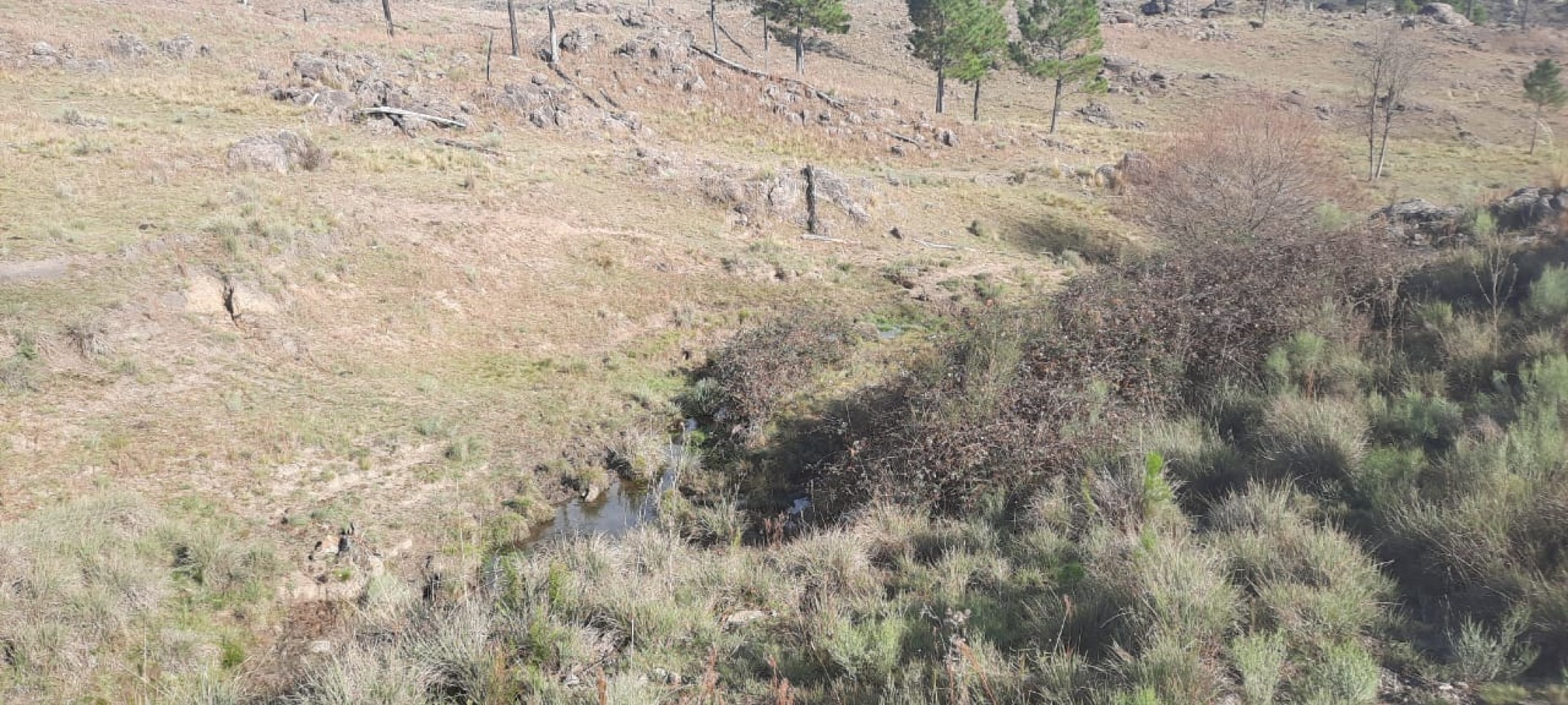 FRACCION DE CAMPO DE 10.9 HAS EN DESARROLLO CON ACCESO A 3 KM DE COSTA DE RIO POSTALES UNICAS