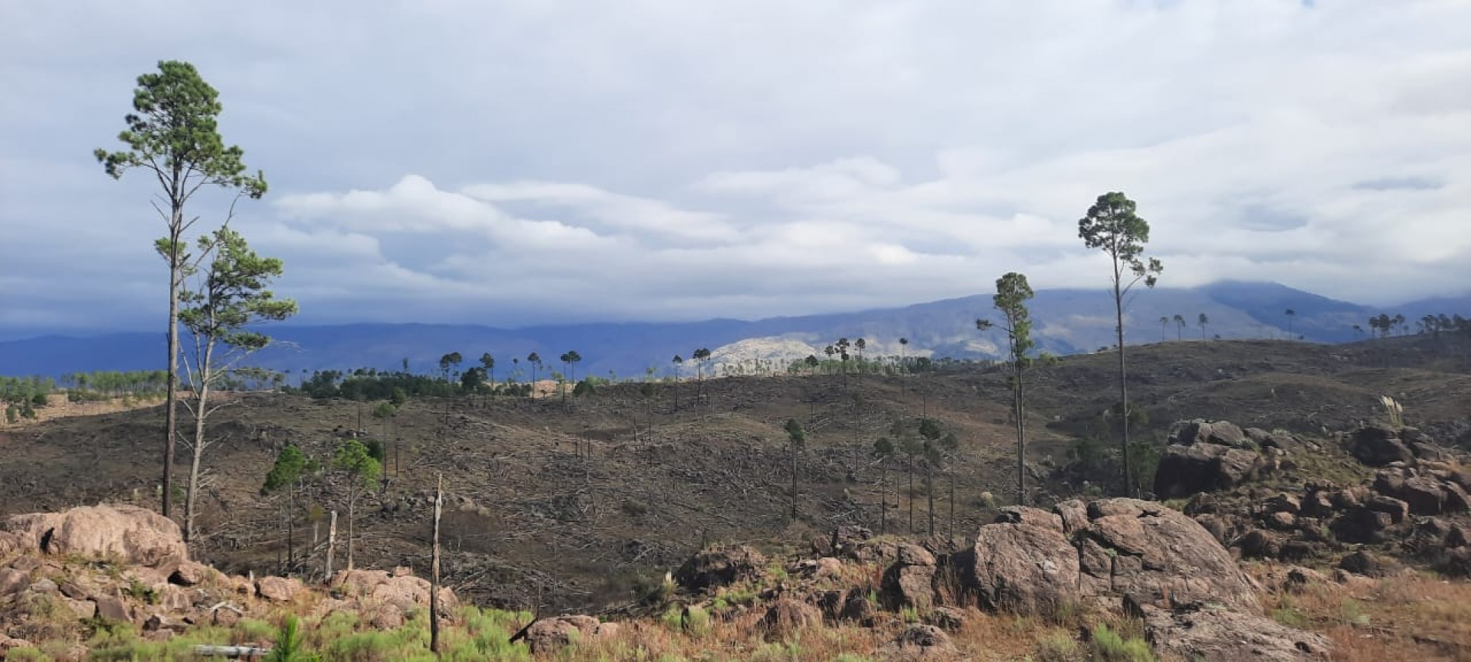 FRACCION DE CAMPO DE 10.9 HAS EN DESARROLLO CON ACCESO A 3 KM DE COSTA DE RIO POSTALES UNICAS