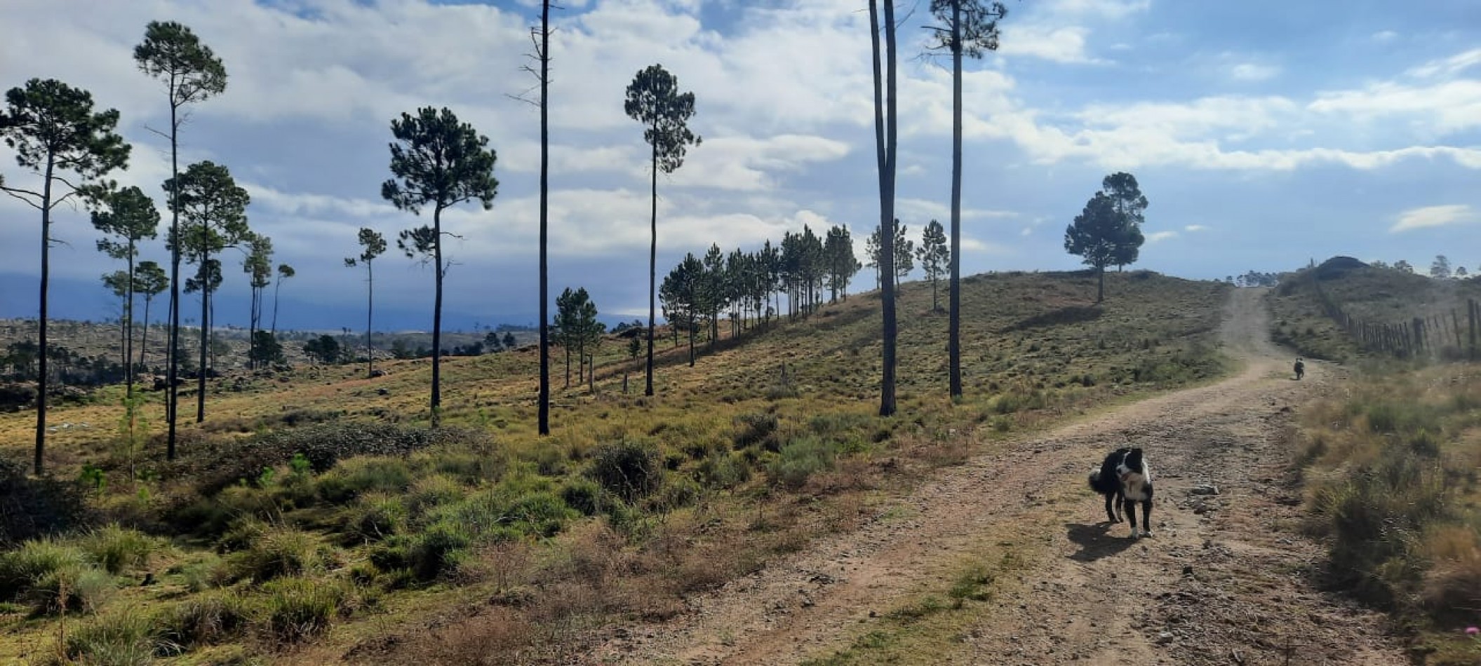 FRACCION DE CAMPO DE 10.9 HAS EN DESARROLLO CON ACCESO A 3 KM DE COSTA DE RIO POSTALES UNICAS
