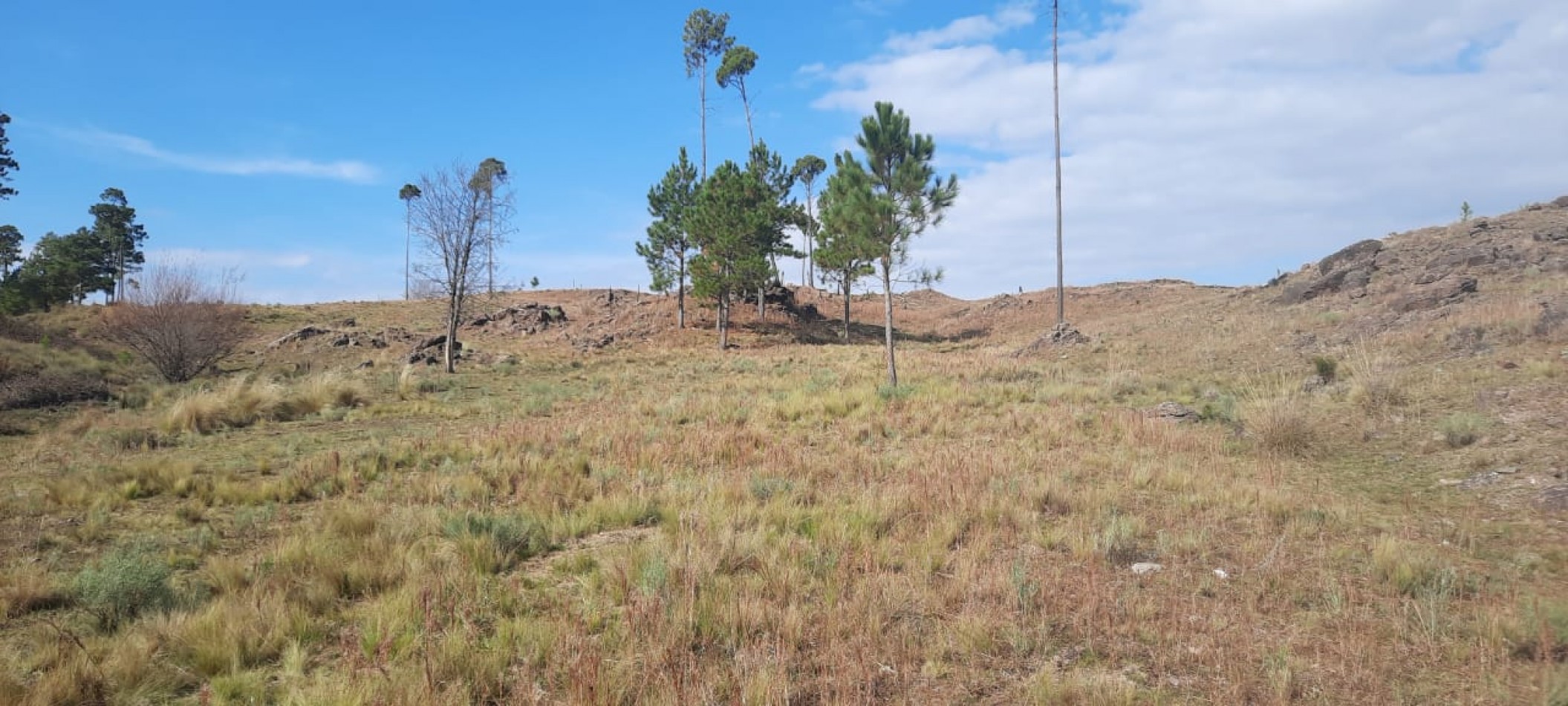 FRACCION DE CAMPO DE 10.9 HAS EN DESARROLLO CON ACCESO A 3 KM DE COSTA DE RIO POSTALES UNICAS