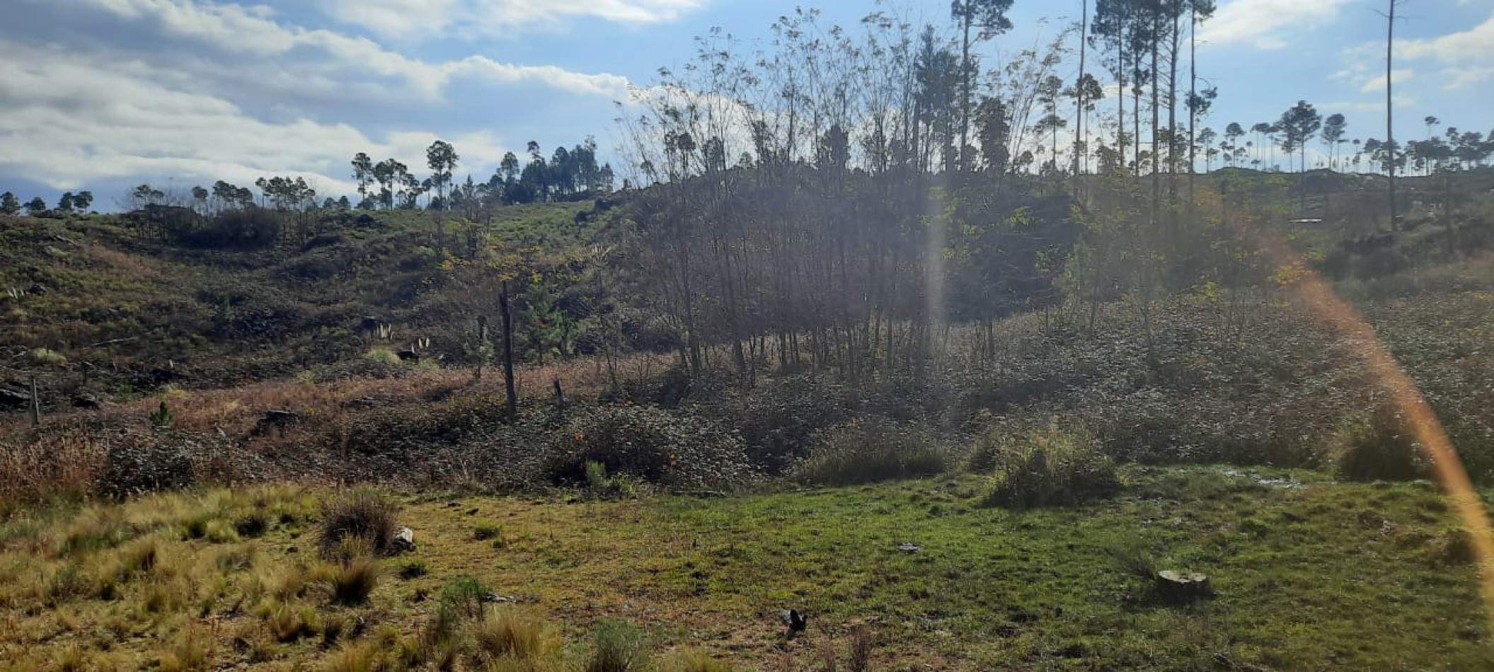 FRACCION DE CAMPO DE 10.9 HAS EN DESARROLLO CON ACCESO A 3 KM DE COSTA DE RIO POSTALES UNICAS