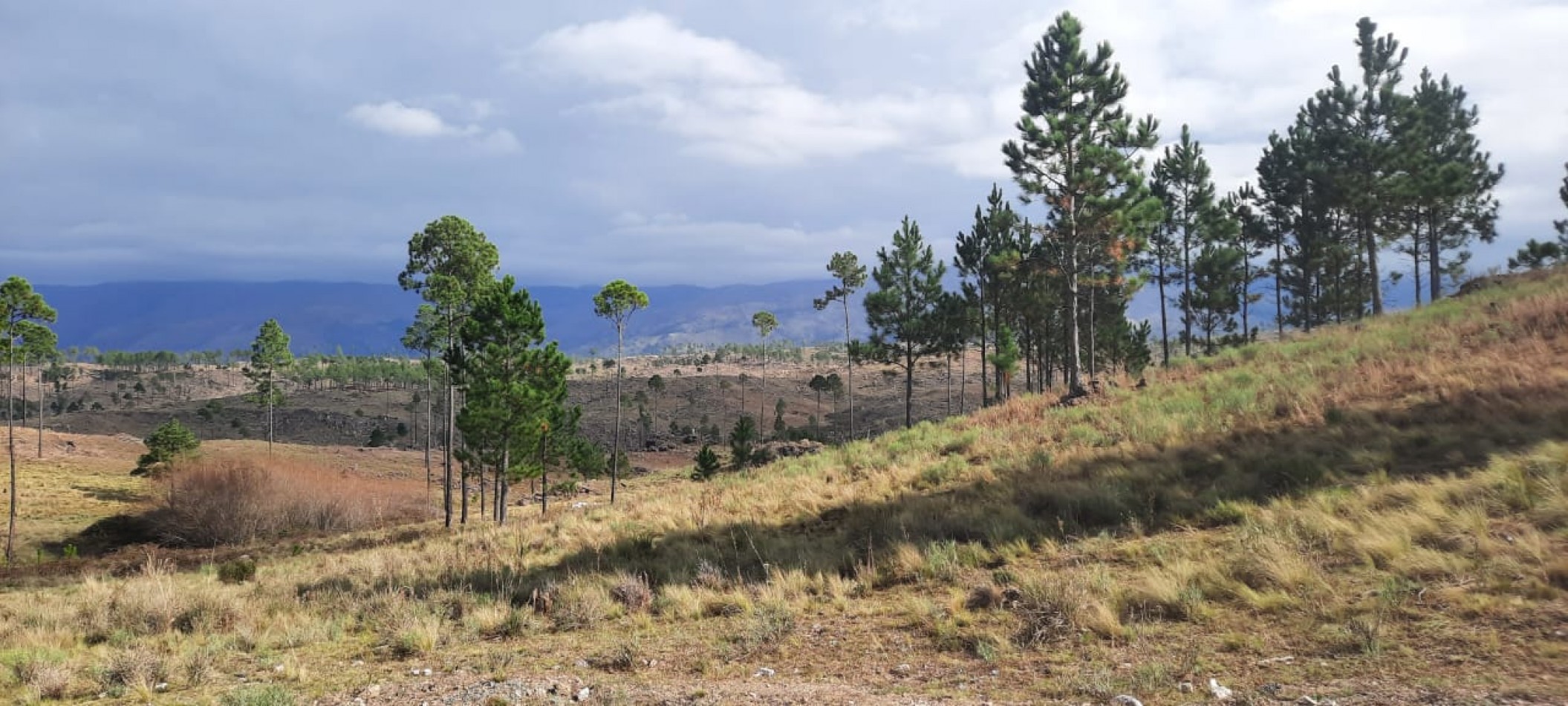 FRACCION DE CAMPO DE 10.9 HAS EN DESARROLLO CON ACCESO A 3 KM DE COSTA DE RIO POSTALES UNICAS