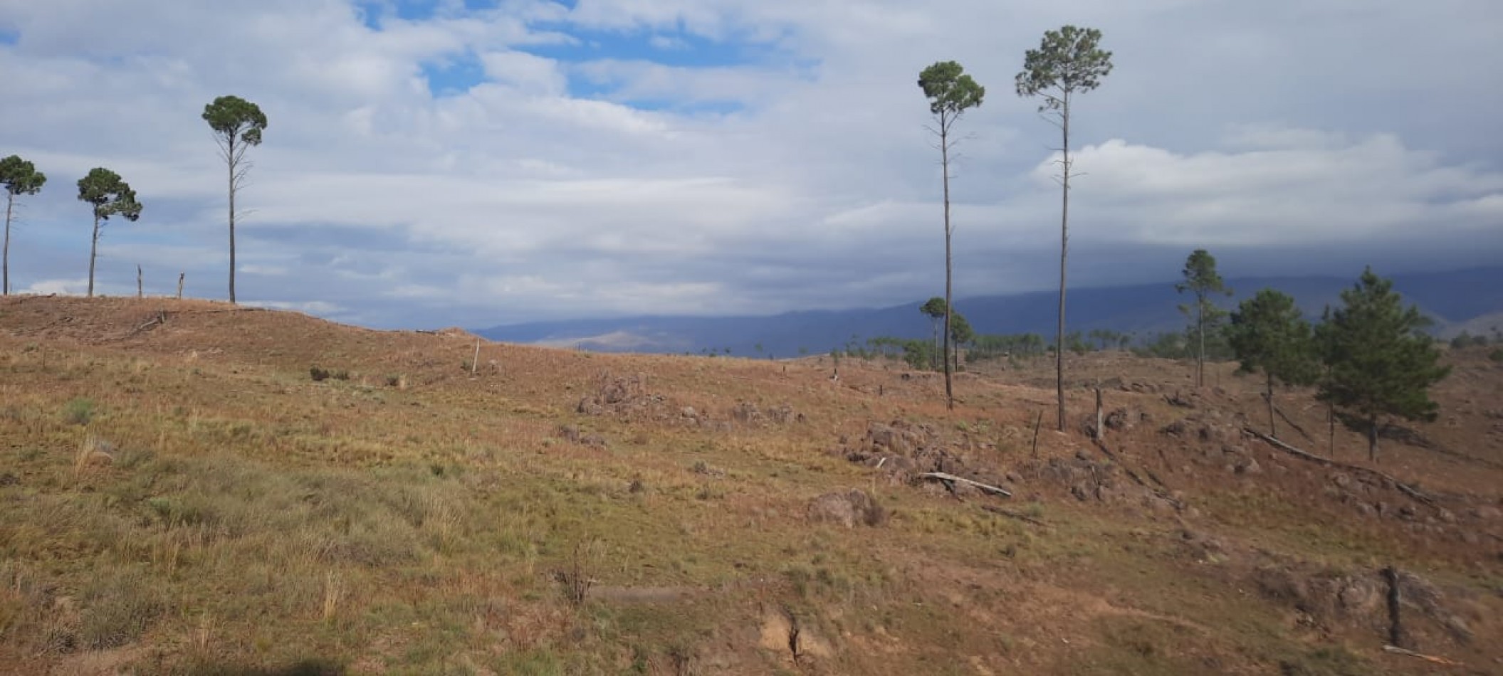 FRACCION DE CAMPO DE 10.9 HAS EN DESARROLLO CON ACCESO A 3 KM DE COSTA DE RIO POSTALES UNICAS