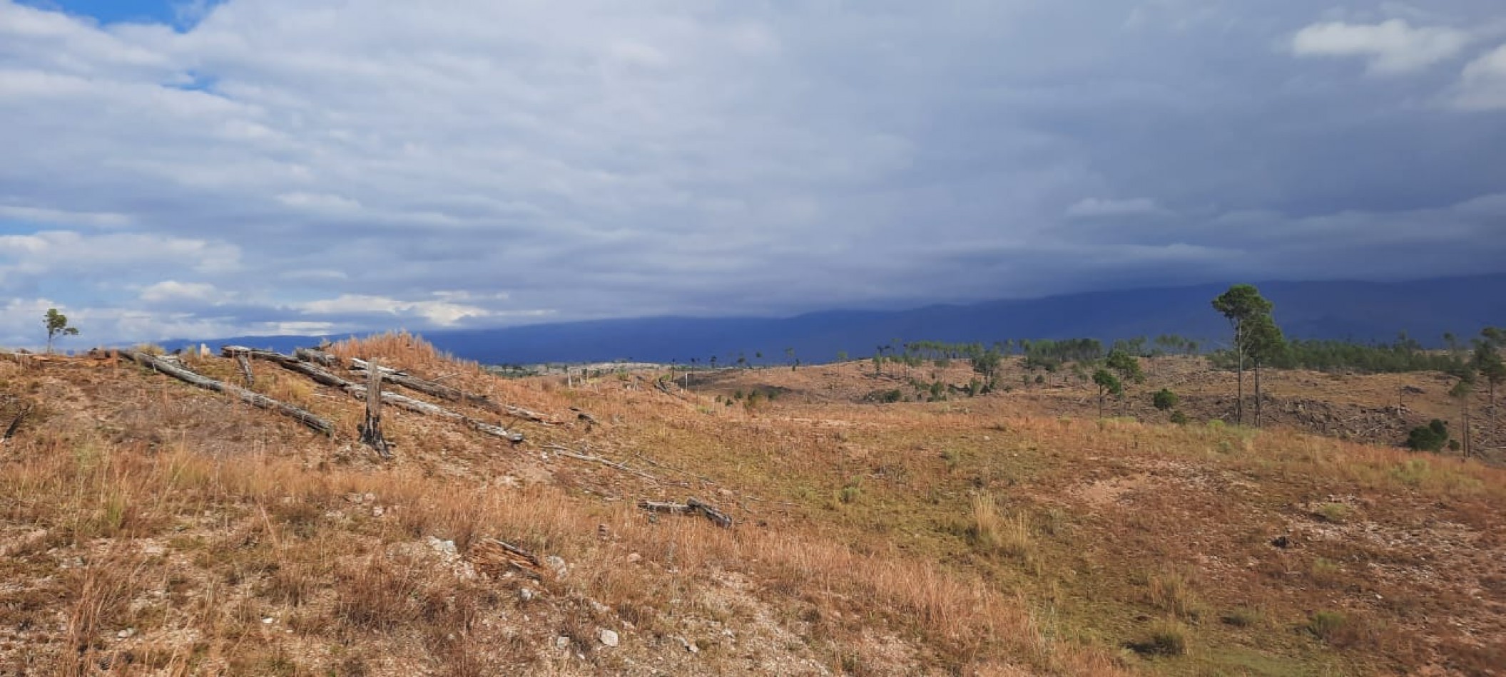 FRACCION DE CAMPO DE 10.9 HAS EN DESARROLLO CON ACCESO A 3 KM DE COSTA DE RIO POSTALES UNICAS