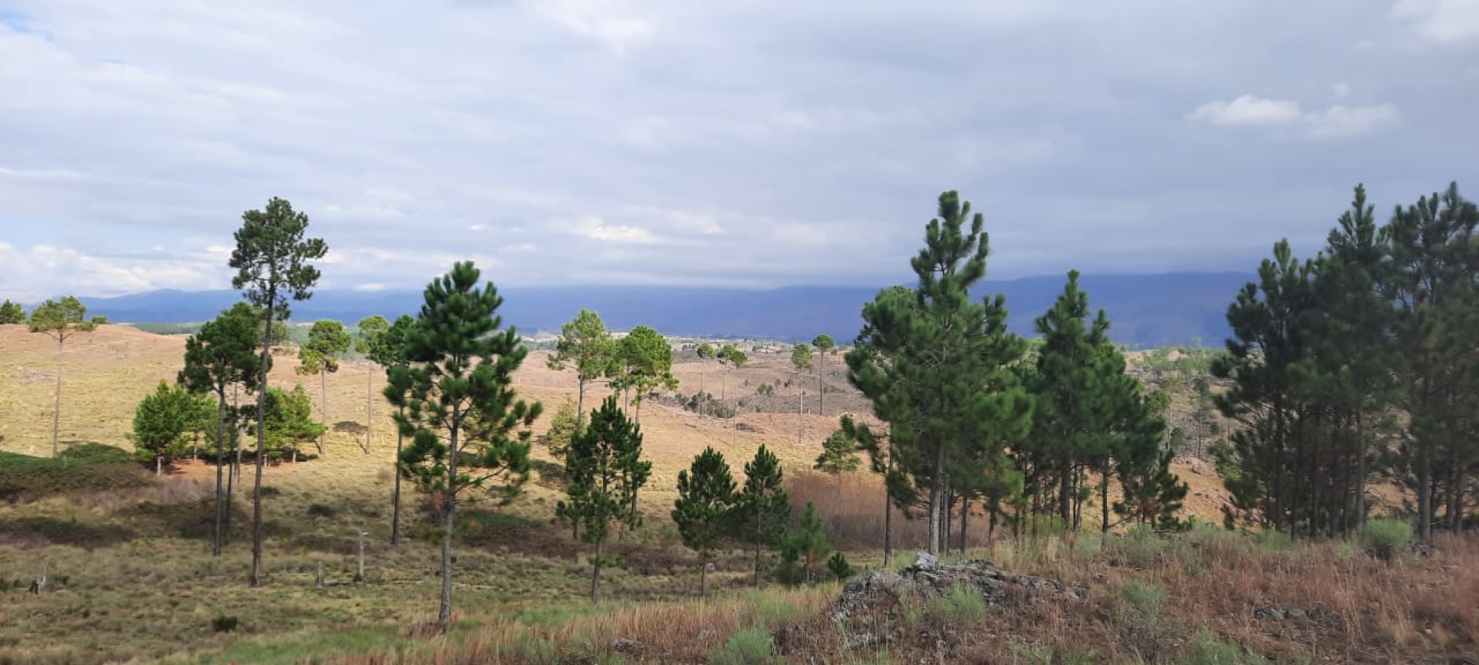 FRACCION DE CAMPO DE 10.9 HAS EN DESARROLLO CON ACCESO A 3 KM DE COSTA DE RIO POSTALES UNICAS