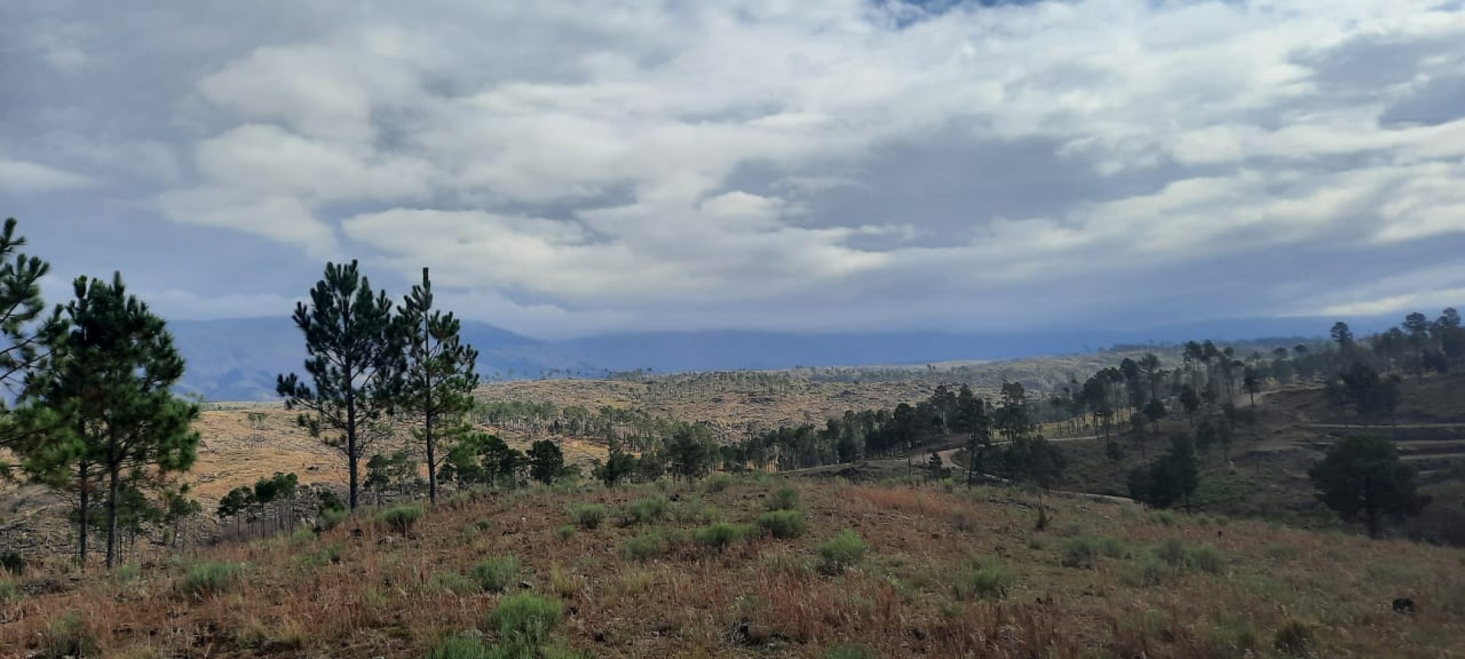 FRACCION DE CAMPO DE 10.9 HAS EN DESARROLLO CON ACCESO A 3 KM DE COSTA DE RIO POSTALES UNICAS