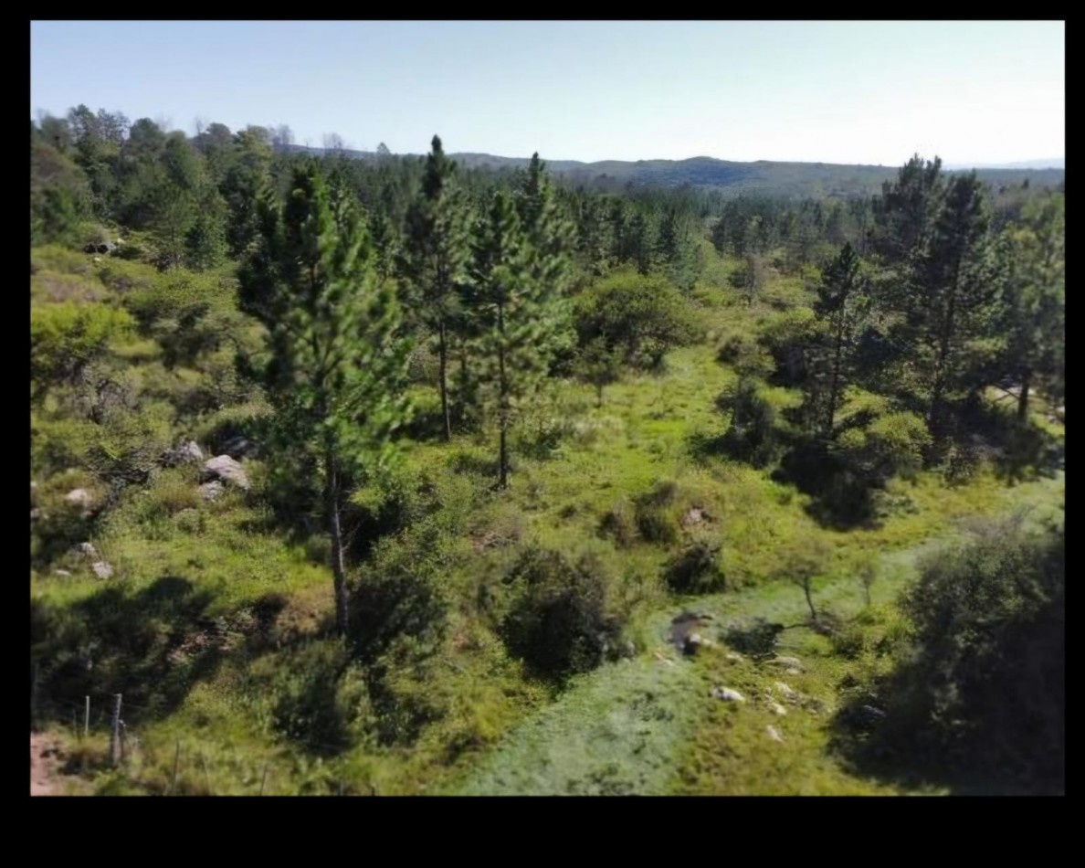 FINANCIA RECIBE VEHICULO! VENTA CAMPO IDEAL PROYECTO ECO ALDEA O AGRO ECOLOGICO