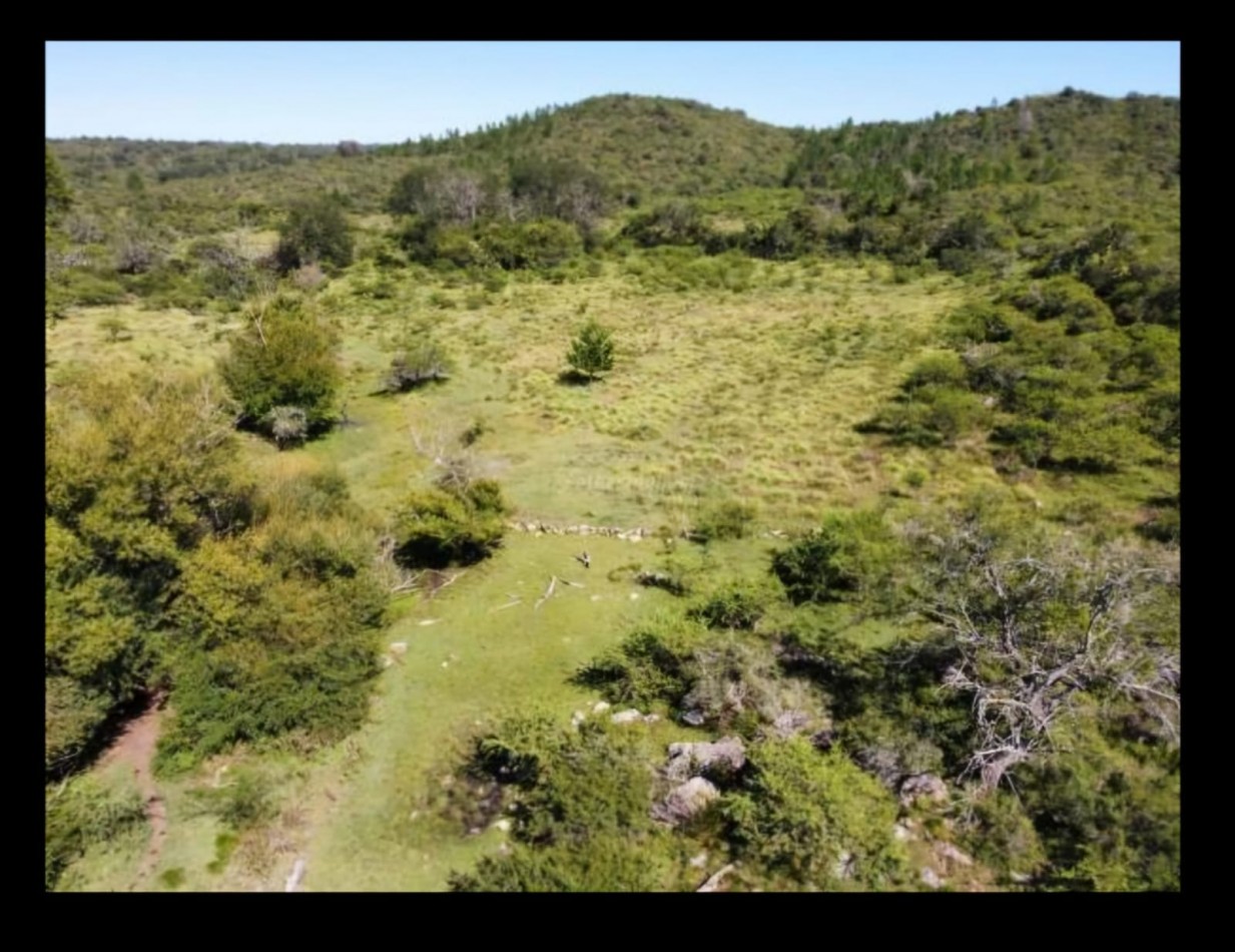 FINANCIA RECIBE VEHICULO! VENTA CAMPO IDEAL PROYECTO ECO ALDEA O AGRO ECOLOGICO