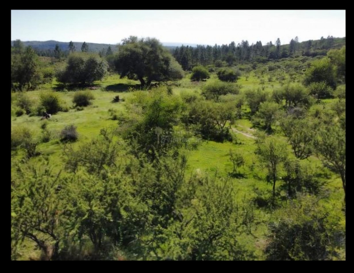 FINANCIA RECIBE VEHICULO! VENTA CAMPO IDEAL PROYECTO ECO ALDEA O AGRO ECOLOGICO
