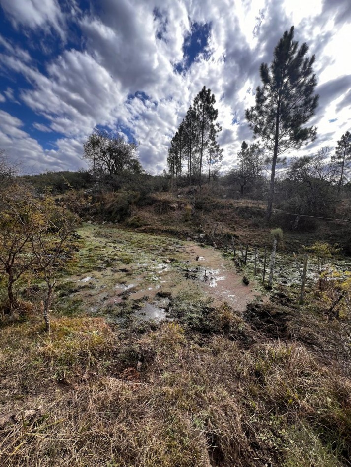 FINANCIA RECIBE VEHICULO! VENTA CAMPO IDEAL PROYECTO ECO ALDEA O AGRO ECOLOGICO