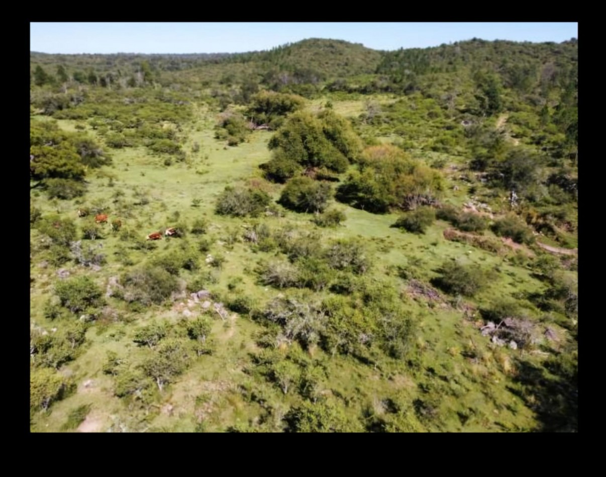 FINANCIA RECIBE VEHICULO! VENTA CAMPO IDEAL PROYECTO ECO ALDEA O AGRO ECOLOGICO