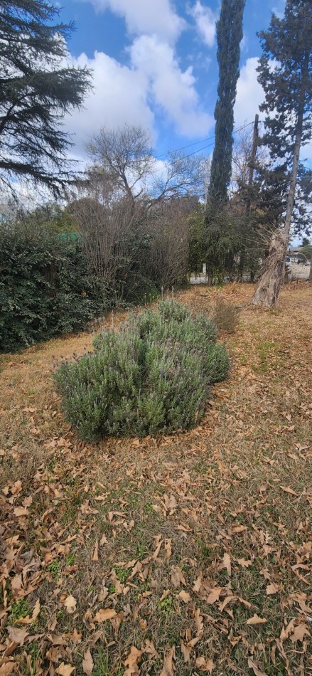 VENTA CASA 3 DORMITORIOS ZONA CENTRO VILLA GENERAL BELGRANO A 100 MTS DE LA TERMINAL